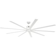 Ceiling Fans CasaFan Big Smooth Eco 220