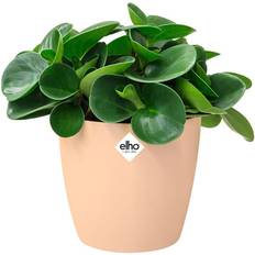 Elho Beige Krukor Elho Brussels 14cm Round Plastic Indoor Plant Pot - Nude