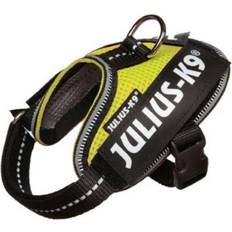 Julius-K9 Dog Harness, Neon, M/0