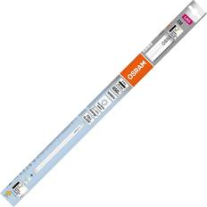 Röhrenförmig LEDs Osram LED EEK: E A G G13 Röhrenform T8 5.4 W = 15 W Neutralweiß Ø x L 26.80 mm x 451 mm 1 St