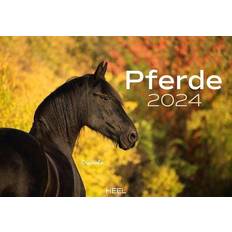 Office Supplies Heel Pferde Kalender 2024 Tierkalender Mit Den Charmanten