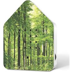 RELAXOUND Zwitscherbox 2 Minutter Forest