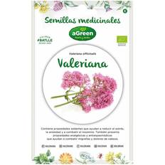 Best Frutta secca Informazioni Sui Semi Di Valeriana "Medicinal" Eco 857014 Bolsh Agreen (E3-06460)