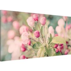 Rose Tableaux en verre Tableau Magnétique Apple Blossom Bokeh Light Pink