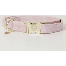 Aucune Dog Collar Kentucky Velvet - Rose