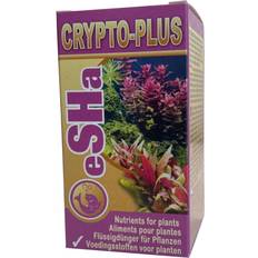 Crypto-Plus