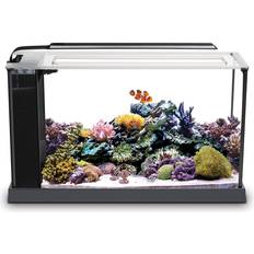 Fluval Evo V Marine Aquarium Kit 5 gal