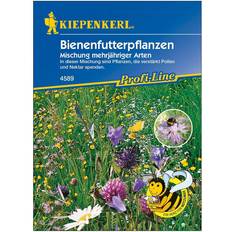 Kiepenkerl Blomsterblanding Bi Paradis 8