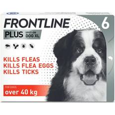 Frontline plus large dog Frontline Plus Spot On Flea & Tick Treatment Dogs 40kg