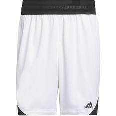 5XL Shorts Adidas Short Icon Squad - Blu Navy