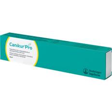 Canikur Pro Paste