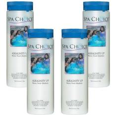 Pool Chemicals Spa Choice and Hot Tub 2 lb. Alkalinity Up 4-Pack