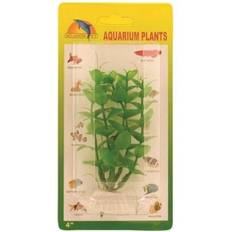 Aitakasvit Meadow Green Ludwigia Plastic 10 cm