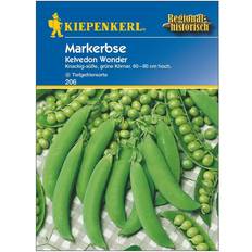 Gemüsesamen Kiepenkerl Markerbse Kelvedon Wonder ca.