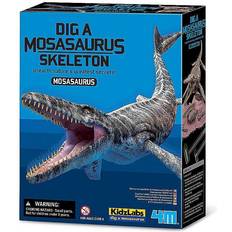 Mosasaurus 4M Udgrav et Mosasaurus-skelet Bestillingsvare, leveringstiden kan ikke oplyses