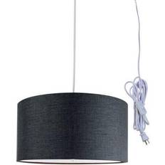 Home Concept 2 Light 16' Swag Pendant Lamp