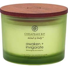 Chesapeake Bay Candle Awaken + Invigorate lemongrass eucalyptus 3-Wick Scented Candle