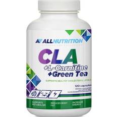 L-carnitin Aminosyrer Allnutrition CLA L-Carnitin Grøn Te 120 Kapsler