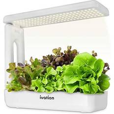 Propagators Ivation Herb Garden Growing Kit White