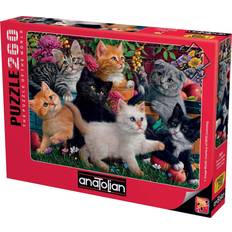 Kittens at Play 260 Pieces