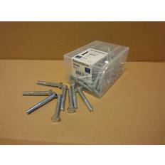 Nils Ahlgren M6S 8,8 FZB M 8X100 50ST 50st