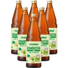 Lime juice Voelkel Kombucha Lime - ingefær Økologisk