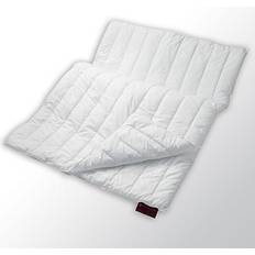 Boxspringbetten CENTA-STAR Vierjahreszeitendecke SPORT LINE Boxspringbett