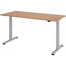 Hammerbacher Venda Nussbaum Schreibtisch
