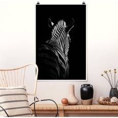 Tiere Dunkle Zebra Silhouette Poster