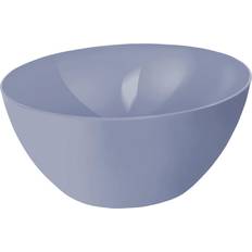 Rotho Schüssel Caruba 8 L