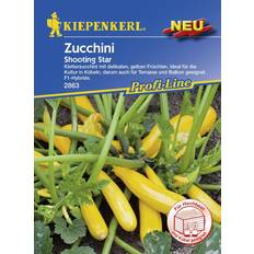 Günstig Zubehör Kiepenkerl Zucchini pepo Cucurbita