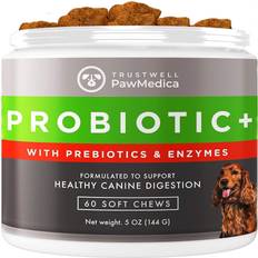 Probiotics for dogs dog probiotics and digestive enzymes probiotics for dogs