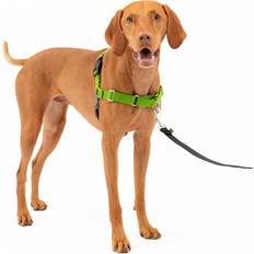 Dog harness no pull PetSafe Easy Walk Dog Harness No Pull Dog