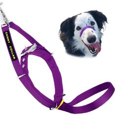 Collar and leash Canny Collar Dog Head Collar, Leash