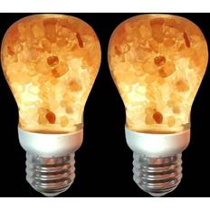 Led 60 watt light bulbs Salt light bulbs 60watt equivalent warm amber glow pack of 2 2 count