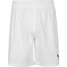 Puma teamFINAL Shorts Herren