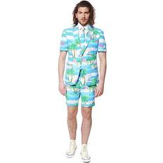 Summer Flaminguy
