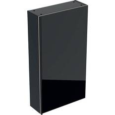 Meubles de Salle de Bain Muraux Geberit Acanto Armoire Murale 500639 450 x 820 x 174 mm