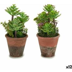 Resina Plantas Artificiales Ibergarden Decorative Plant Succulent Plastic 16 x 23 x 16 cm Planta Artificial