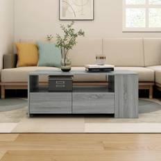 vidaXL 816935 Coffee Table 22x102cm