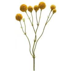 Melrose International Yellow Pod Twig Spray Set of 6