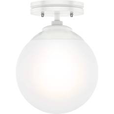 Lighting Hunter Fan 19021 Hepburn Mount Ceiling Flush Light