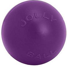 Jolly Pets Push-n-Play Ball Dog