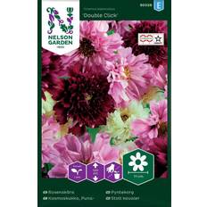 Blomsterfröer Nelson Garden Fröer Rosenskära Double Click