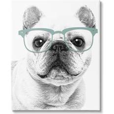 Wall Decor Stupell Industries Cute Monochrome French Bulldog Wearing Glasses Graphic Art Gallery-Wrapped 36x48 Wall Decor