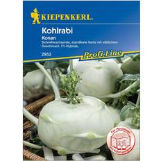 Kiepenkerl Kohlrabi Konan Brassica