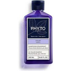 Phyto Purple No Yellow Shampoo 250 ml 250ml