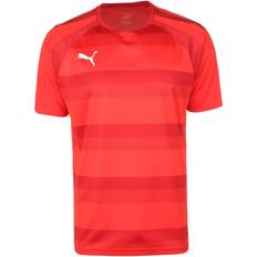 Puma teamVISION Trikot Herren