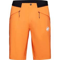 Mammut Herren Aenergy Light SO Shorts