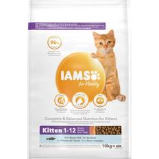 Iams kitten IAMS complete dry cat food for kittens with ocean fish